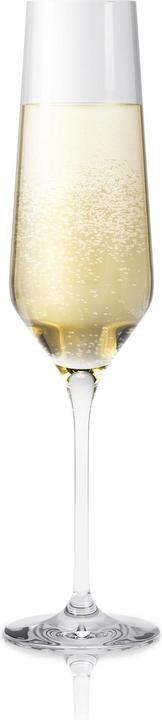 Actual product image Eva Solo Champagne glass Legio Nova 260 ml, 6 pieces, Transparent (26 cl, 6 Glasses, Champagne glasses)