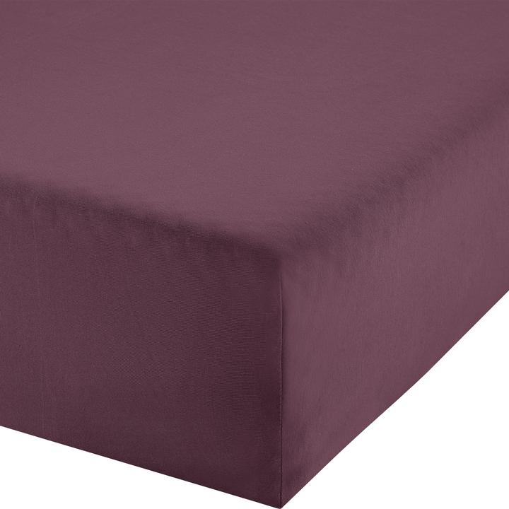 Aubergine