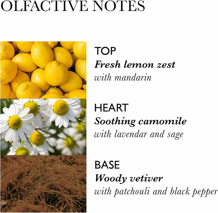 Actual product image Molton Brown Hydrating Conditioner with Camomile (300 ml)