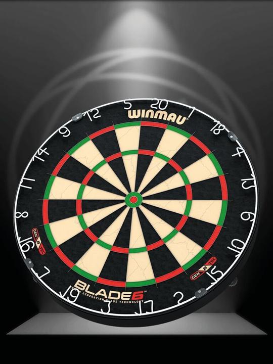 Actual product image Winmau Blade 6
