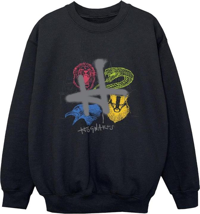 Emblems H Spray Sweatshirt Jungen