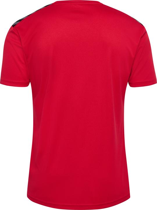 Image du produit hummel Hmlauthentic Pl Jersey S/S (L)
