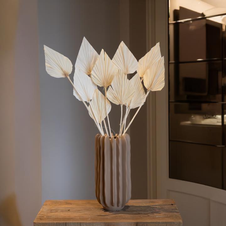 Image du produit Plant in a Box - (50 cm)