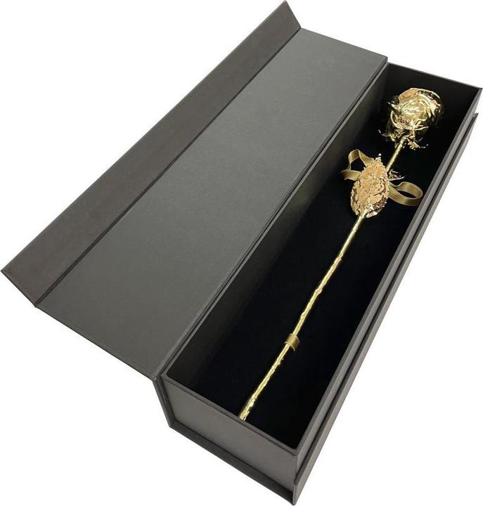 Philoro XL Rose 24 Karat vergoldet inkl. Etui (2024)