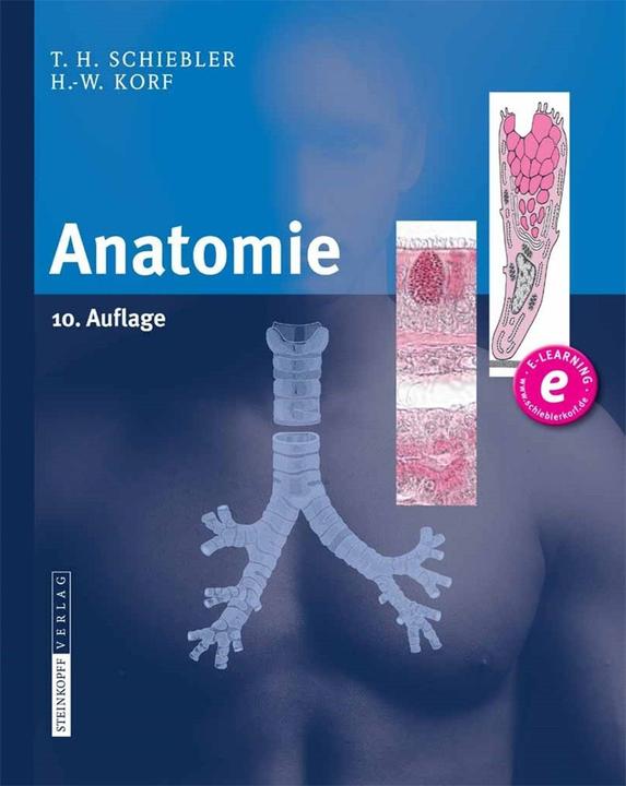 Produktbild Anatomie (Deutsch, Horst-W. Korf, Theodor H. Schiebler, 2007)