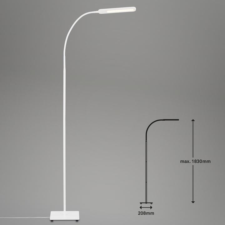 Image du produit Briloner Cct (600 lm)