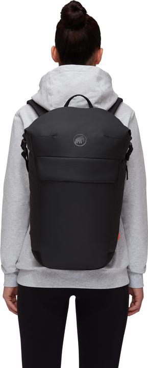 Actual product image Mammut Seon Courier (20 l)