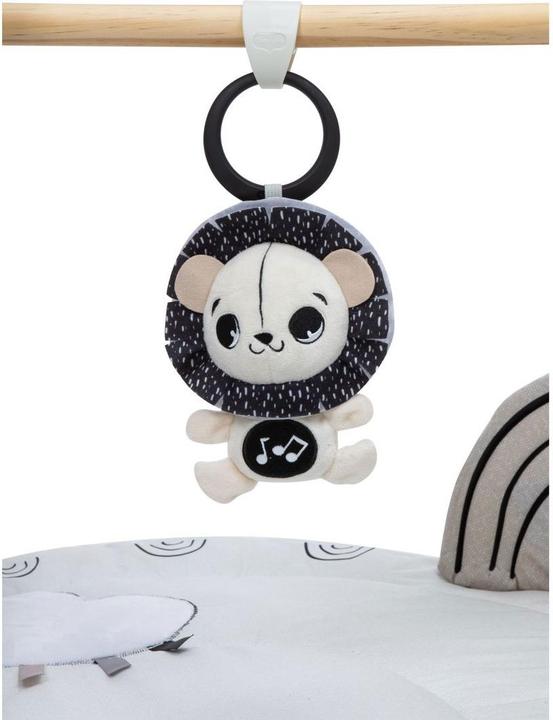 Produktbild Tiny Love Luxe Gymini