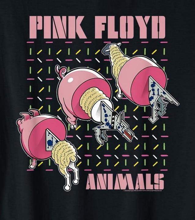 Produktbild Pink Floyd TShirt (XL)