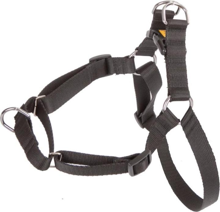Produktbild Red Dingo DINGO Easy Walk - Hundegeschirr - 42-64 cm (Hund, Allgemein)