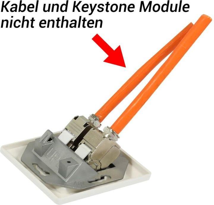 Produktbild Synergy 21 Keystone, Modulträger, UP Dosen für 2xTP-Modul, Reinweiss, Eckiger Aussenrahmen