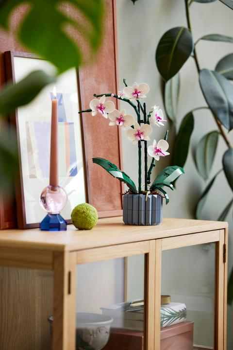 Productafbeelding LEGO Orchidee (10311, LEGO Botanisch)