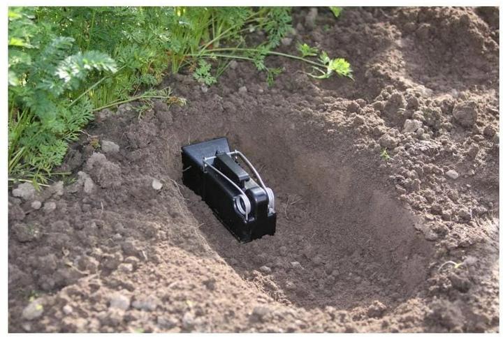 Image du produit Neudorff Attrapeur de campagnols