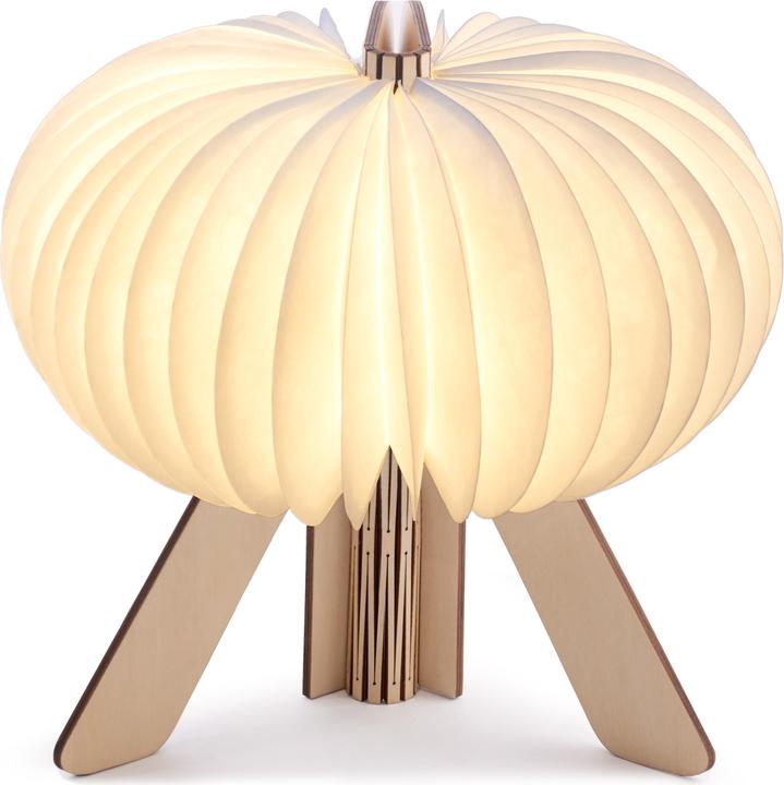 Actual product image Gingko The R Space Lamp