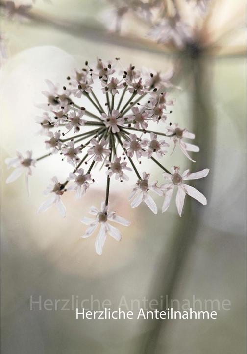 Actual product image Funeral card - chervil flower (1 pcs.)
