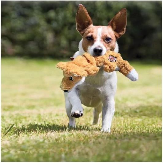 Immagine prodotto KONG Giocattolo per cani Scrunch Knots Fox M (6,5x15 cm) (Cane di peluche)