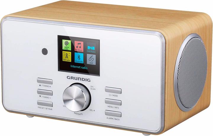 Grundig Dtr 5000 X (Web radio, DAB+, FM, Bluetooth, Wi-Fi)