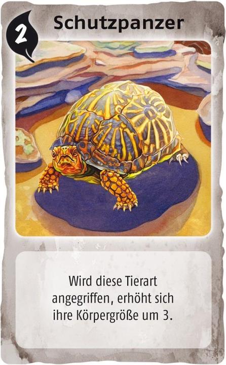 Produktbild Schmidt Spiele Evolution (Deutsch)
