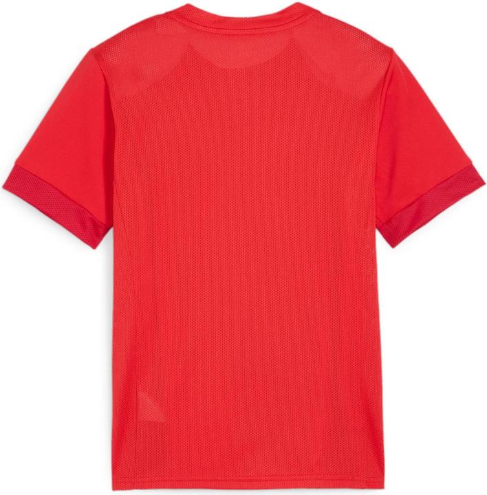 Actual product image Puma teamGOAL Matchday Jersey jr (152)