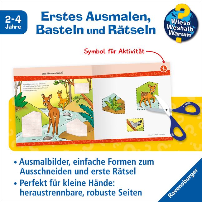 Image du produit Ravensburger Wieso? Weshalb? Warum? junior AKTIV: Im Wald (Allemand, Elke Broska, 2024)