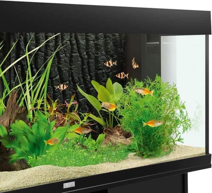 Image du produit Juwel Aquarium Paroi arrière structurée Juwel STR 600 (Panneau arrière, autres éléments)