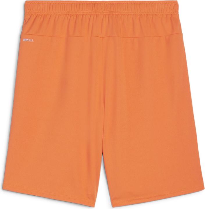 Actual product image Puma teamGOAL shorts (M)