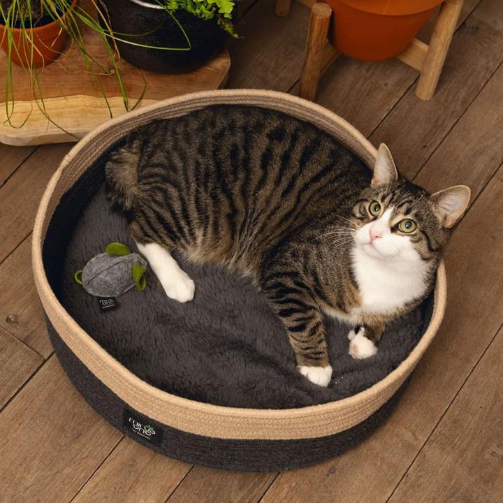 Image du produit Beeztees Xana (Chat)