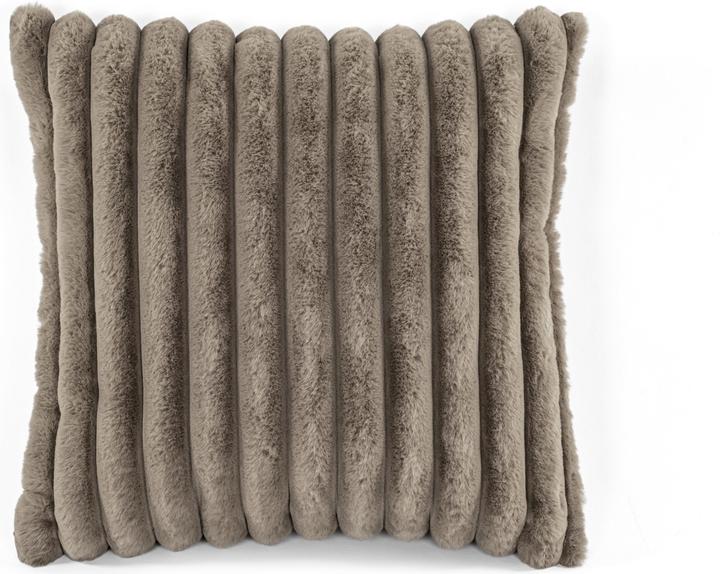 Coussin décoratif