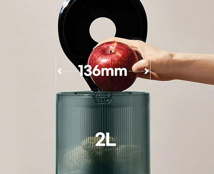 Immagine prodotto Hurom Slow Juicer H320N