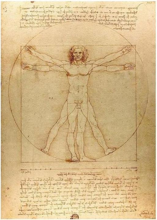 Actual product image Enjoy Puzzle ENJOY-1557 - The Vitruvian Man, Puzzle, 1000 pieces (1000 pieces)