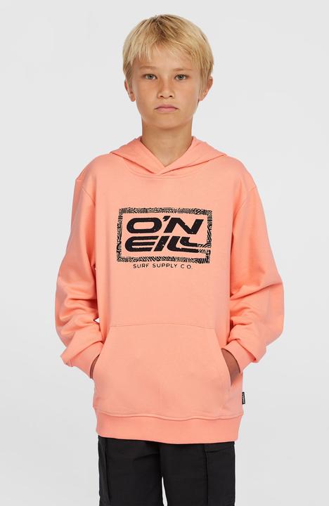 Produktbild O'Neill Logo Hoodie (176)