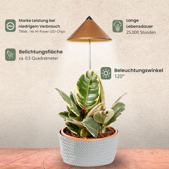 Productafbeelding Colibri Zonne (LED, 230 V)