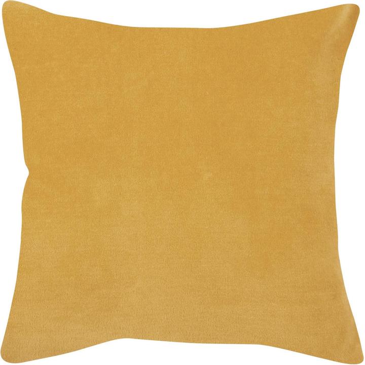 Corn, Yellow