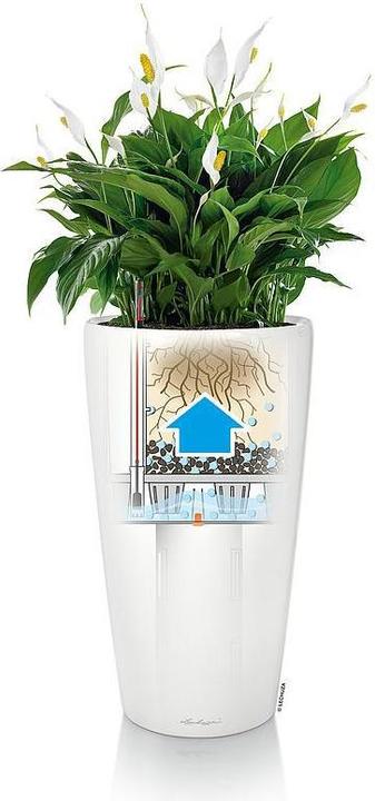 Actual product image Lechuza Planter Rondo Premium 32 (33 cm)
