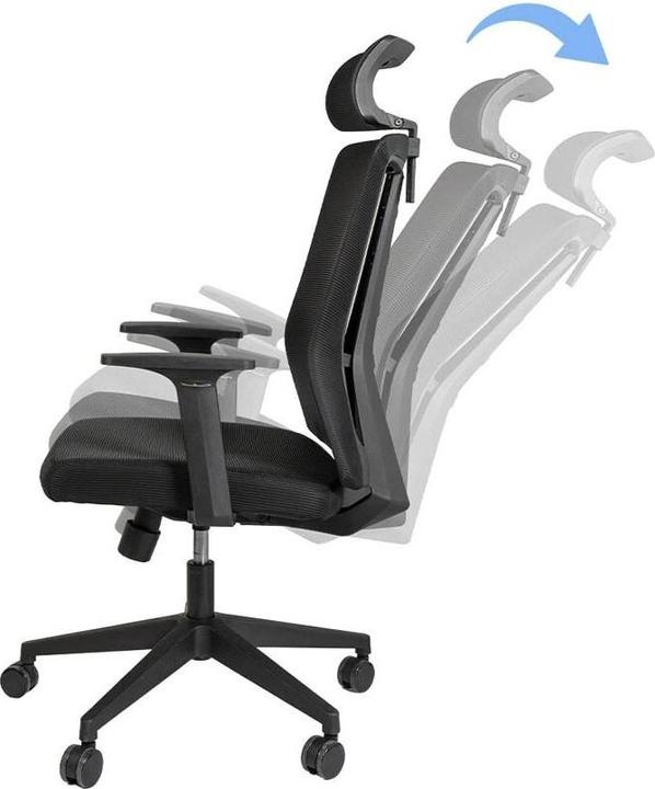 Actual product image Contini ErgoFlex