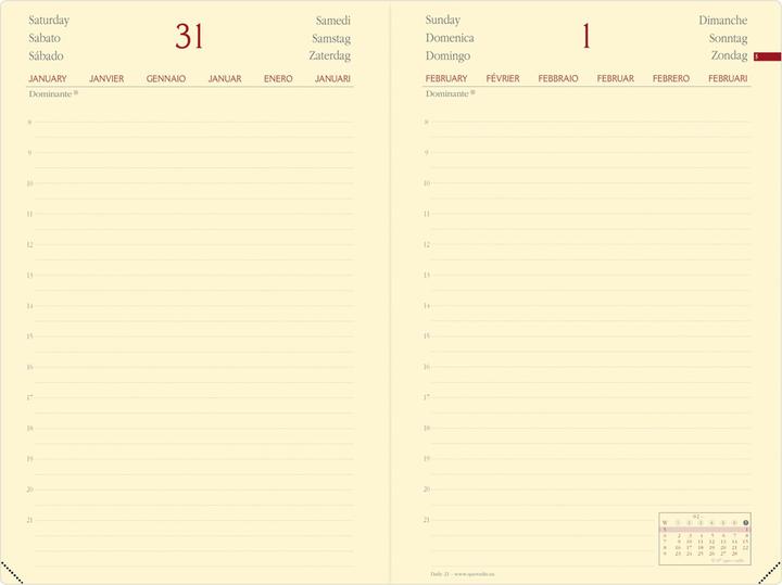Immagine prodotto Quo Vadis Agenda Daily 21 Prestige Silk (13 x 21 cm, Tedesco)