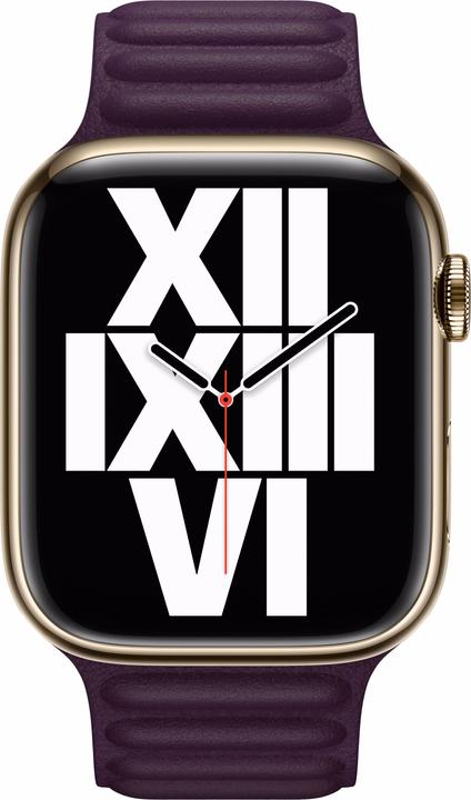 Actual product image Apple Leather Link (45 mm, Granada leather)
