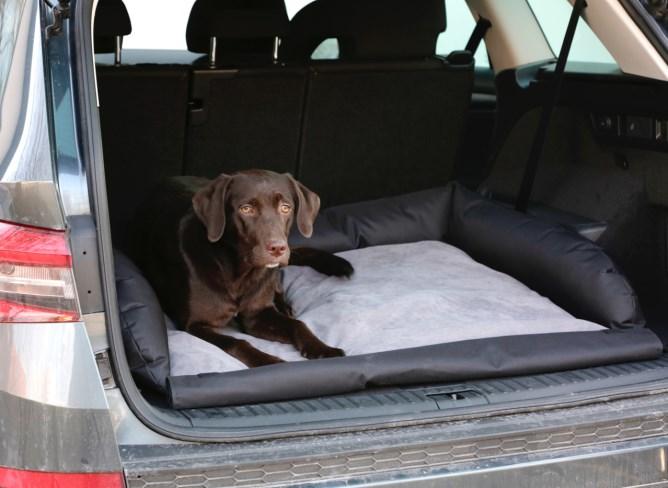 Image du produit Kerbl Coussin pour bottes (Chat, Chien, Réflecteurs, Respirant, Lavable en machine)