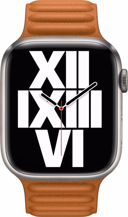 Produktbild Apple Leather Link (45 mm, Granada Leder)