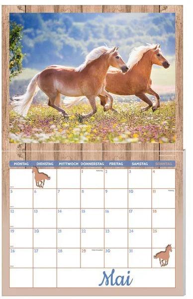 Actual product image Horse calendar pack 2025, 9 pieces (German)