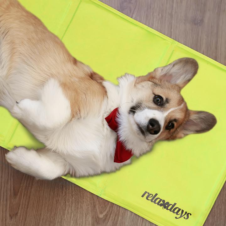 Productafbeelding Relaxdays Koelmat hond (Hond)