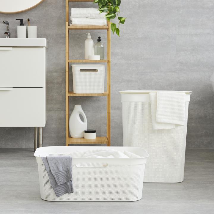 Immagine prodotto Rotho Brisen (50 l)