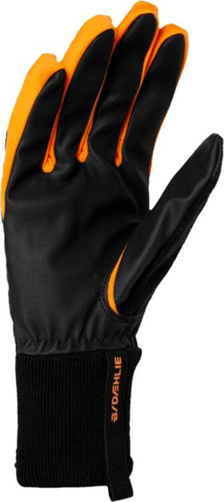 Produktbild Daehlie Glove Pace (8)