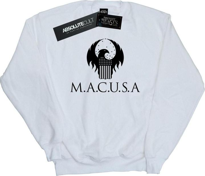 Actual product image Fantastic Beasts Boys MACUSA Logo Sweatshirt (116)