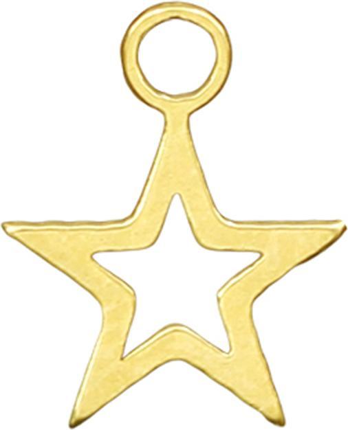 Star Piercing Anhänger vergoldet Stern (Chirurgenstahl 316L, ohne Messing)