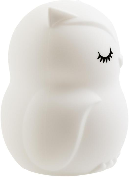 Actual product image Cocon Eule