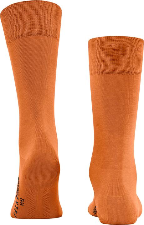 Immagine prodotto Falke Cool 24/7 (Confezione singola, 41 - 42)
