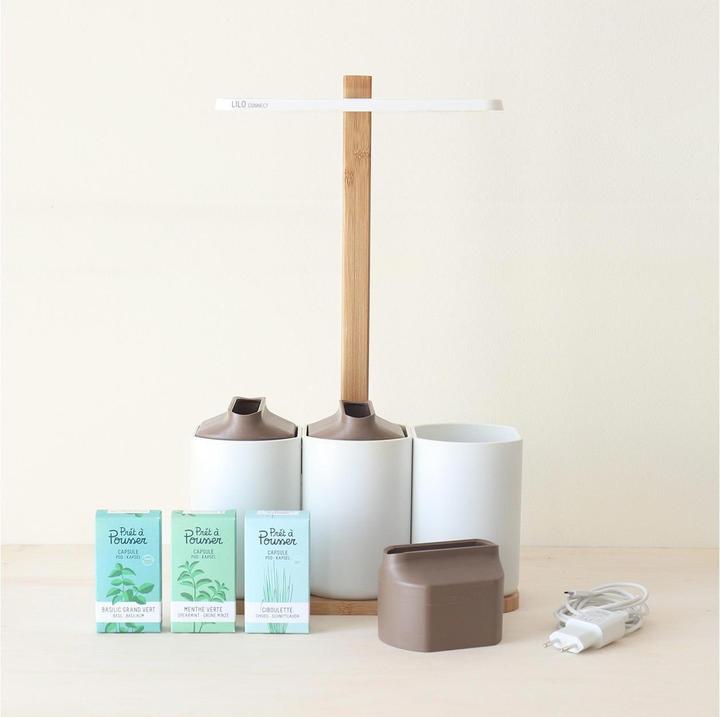 Image du produit Prêt à Pousser Lilo Connect (13.50 cm)