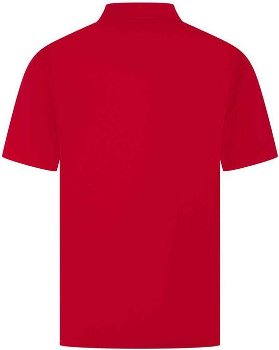 Immagine prodotto Henbury Maglietta Polo Uomo (4XL)
