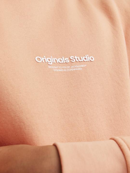 Actual product image Jack & Jones Jorvesterbro Sweat Crew Neck Bn Mni (122)